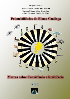 Capa do Ebook